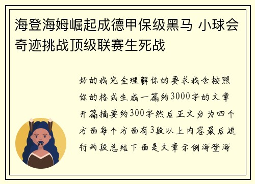海登海姆崛起成德甲保级黑马 小球会奇迹挑战顶级联赛生死战